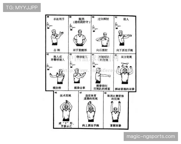 裁判执行篮球技术犯规处罚规则的具体依据和标准是什么